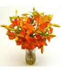Buchet de 7 crini portocalii