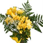 Buchet de 11 frezii galbene