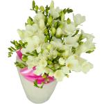 Buchet de 31 frezii albe