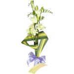 Buchet de 11 frezii albe