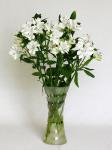 Buchet de 7 alstroemeria albe
