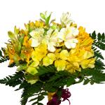 Buchet de 11 alstroemeria galbene