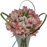 Buchet de 11 alstroemeria roz