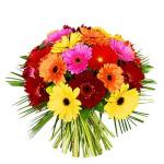 Buchet de 19 gerbera multicolore