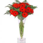 Buchet de 11 gerbera rosii