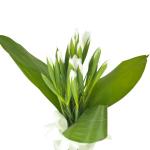 Buchet de 19 irisi albi