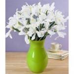 Buchet de 11 irisi albi