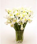 Buchet de 35 irisi albi