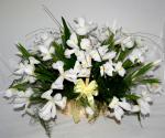 Buchet de 45 irisi albi