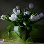 Buchet de 11 lalele albe
