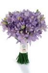 Buchet de 21 frezii mov