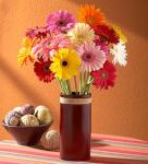 Buchet de 35 gerbera multicolore