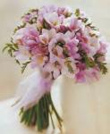 Buchet de 31 frezii roz
