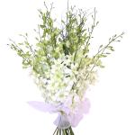 Buchet de 11 orhidee dendrobium albe