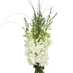 Buchet de 15 orhidee dendrobium albe