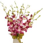 Buchet de 7 orhidee dendrobium mov