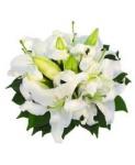 Buchet nasa de 11 crini albi