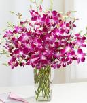 Buchet de 19 orhidee dendrobium mov