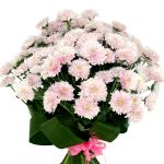 Buchet de 17 crizanteme roz