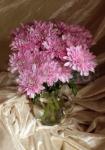 Buchet de 21 crizanteme roz
