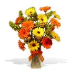 Buchet de 17 gerbere galbene