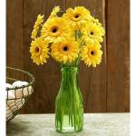 Buchet de 21 gerbere galbene