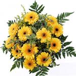 Buchet de 23 gerbere galbene