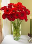 Buchet de 21 gerbera rosii