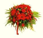 Buchet de 35 gerbera rosii