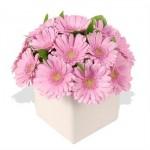 Buchet de 17 gerbera roz