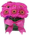 Buchet de 21 gerbera roz