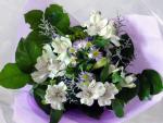 Buchet de 13 alstroemeria albe