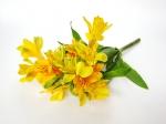 Buchet de 13 alstroemeria galbene