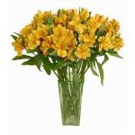Buchet de 21 alstroemeria galbene