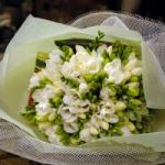 Buchet de 19 frezii albe