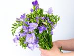 Buchet de 15 frezii mov