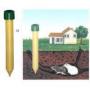 MOTOR MOLECHASER , COD 032 - imagine 22127