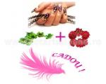 Pachet Nail Art 2+1 GRATIS