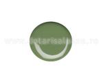 Dull Green Color Gel 5g 045