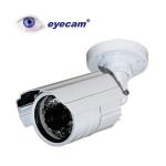 Camera supraveghere exterior 700TVL Eyecam EC-259